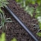 Raindrip Raindrip Polyethylene Drip Irrigation Tubing 1/2 in. D X 100 ft. L 052010P - alternate 6